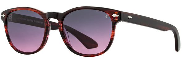 American Optical AO 1004 Sunglasses